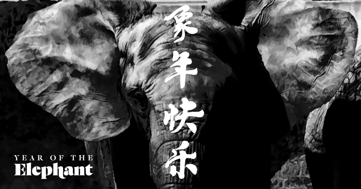 Year of the Elephant Poster
